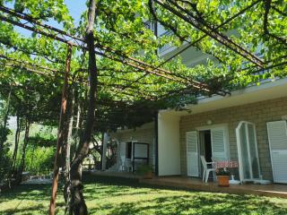 Apartmani Rozić Zaostrog - 0