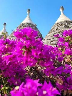 Trullo Amalia con piscina privata - 3