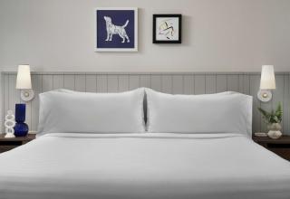 Sonesta ES Suites Austin The Domain Area - Austin - 8