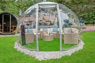 The Lazy Bear Cabin Dome Hot Tub Sauna & More - Albrightsville - 3