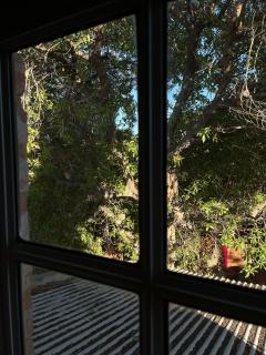 Complejo El Chaniar - 4