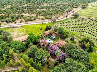 Palmeiras Hotel Fazenda - Brotas - 0