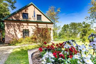 Secluded family friendly house Draz, Baranja - 15893 - Draž - 8