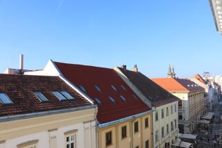 Charming Apartment in Timisoara Top Center - Timişoara - 5