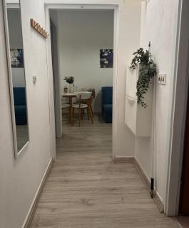 Apartments Winter - Vir - 2