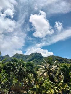 bungalow vue lagon 180 degré, la maison bleue - Moorea - 9