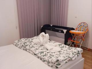 LEON Apartman - Vrnjačka Banja - 5