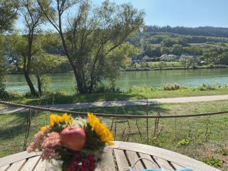 Grape Escape Zell - Zell an der Mosel - 9