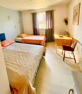 5 min walk to LEGO house - studio room with private bathroom n4 - 4