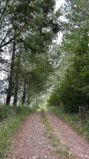 Campo, tranquilidad, relax y buenos paisajes - 3