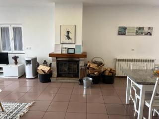 Lareira com lenha incluída - Recuperador de calor - Casa de Casarelhos AL T2 - "Gerês" - 0