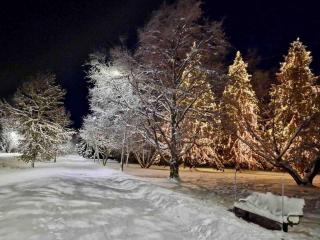 Villa Ranta; Unelmiesi lomakohde upealla paikalla - 8