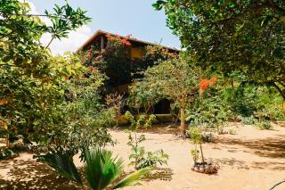 Casa Bem Te Vi - Amontada - 8