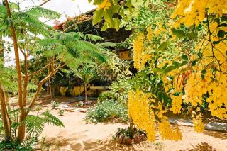 Casa Bem Te Vi - Amontada - 5