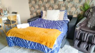 3 Bedroom Hagley Park Paradise - Christchurch - 1