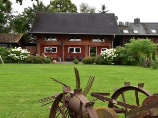 1-bedroom apartment - Hohennauen - 9