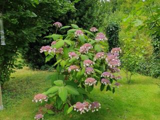 Charmante maison avec jardin au cœur du Parc Naturel Régional de la Brenne, idéale pour télétravail. - FR-1-591-237 - 2