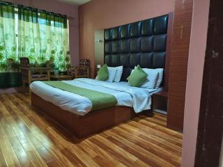 Hotel new mountain view - Srinagar - 9