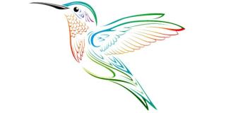 Pousada Beija-Flor - Icapuí - 1