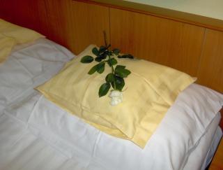Aquarell Hotel - Cegléd - 8