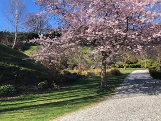 Old School House - 6