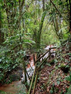 Tipi Bribri - Heredia - 3