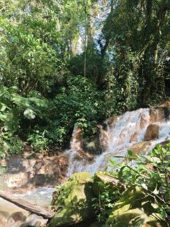 Tipi Bribri - Heredia - 1