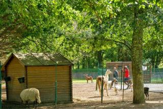 Camping Bidart - Bidart - 1