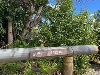 Studio at Coopers Beach - Coopers Beach - 1