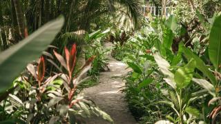 Surf Casitas - High Tide Bungalow - 8