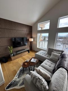 Ski-in Penthouse Condo MSA - 5