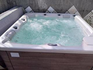 HELICONIA rostrata - 2