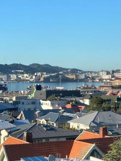Close to City, Ferry with great views and free park - Wellington - 0