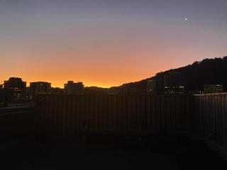 Close to City, Ferry with great views and free park - Wellington - 7