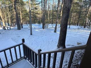 J&J's Bearadise Lodge - Blairsville - 5