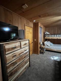 J&J's Bearadise Lodge - Blairsville - 4