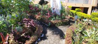 Le domaine des fanjans - 5