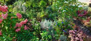 Le domaine des fanjans - 4