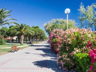 T2 climatisé avec jardin proche plage centrale - FR-1-732-97 - Argelès-sur-Mer - 9