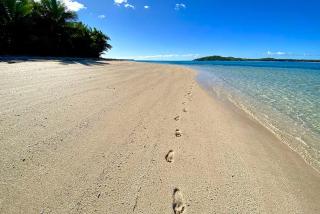 Coconut Beach Resort - Tavewa - 8