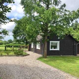 Ferienhaus Woodyhouse - 0