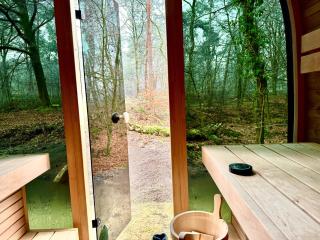 Bos en Heide - Hezingen - 9