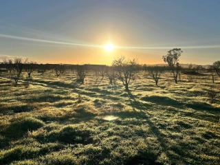 Barossa Homestead Tiny Home - Stockwell - 7