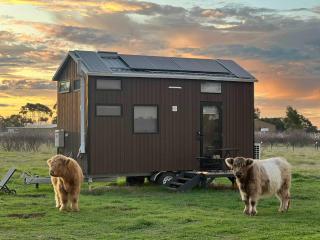 Barossa Homestead Tiny Home - Stockwell - 9