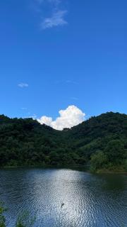 Rừng - The Cozy Place - 2