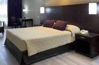 Howard Johnson Plaza by Wyndham Buenos Aires Florida Street - Buenos Aires - 7