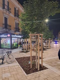 La Dimora del Conte - 5