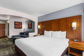 Comfort Suites Denver Tech Center - Centennial - 7