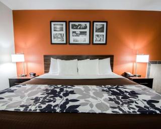 Sleep Inn & Suites And Conference Center Downtown - Indianápolis - 8