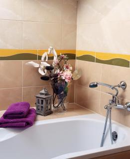 Dworek nad Wisłą - 2